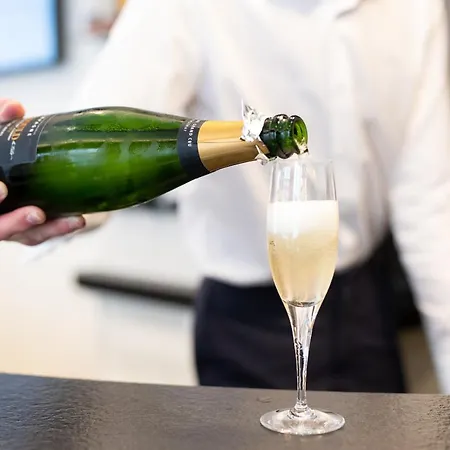 罗斯福酒店 里昂
